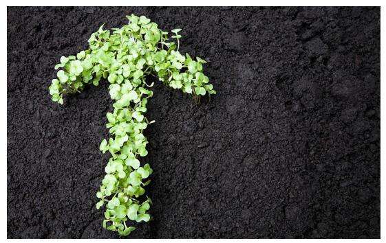 污泥处理处置行业发展前景分析 千亿规模市场静启